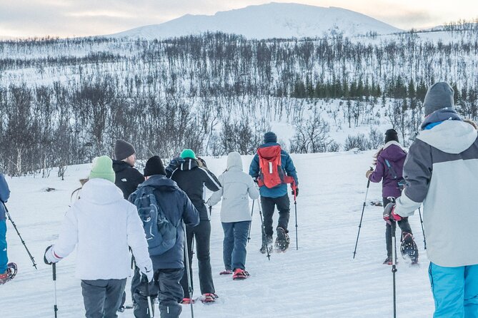 Norway Troms Snowshoe Activity with Guided Tour - The Role of Guides and Group Size