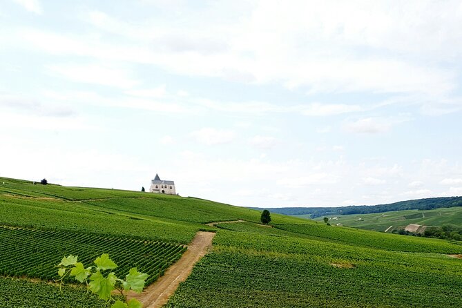 Not Your Average Champagne Tour - Day Trip From Paris (Private) - Key Points