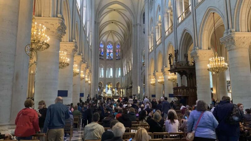 Notre-Dame Cathedral Interior & Île de la Cité Walking Tour - The Guide and Tour Experience
