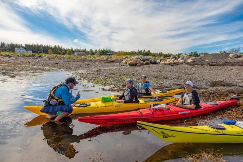 Nova Scotia: Guided Half-Day LaHave Islands Sea Kayak Tour - Discover the Charm of Nova Scotia’s LaHave Islands by Kayak