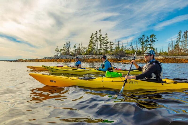 Nova Scotia: Guided Half-Day LaHave Islands Sea Kayak Tour - Exploring the Calm Waters of Dublin Bay
