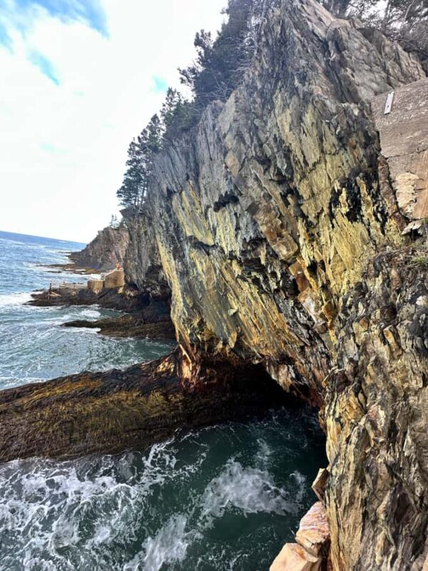Nova Scotia Highlights: Full-Day Private Tour from Halifax - Paying Tribute at the Titanic Graveyard, Fairview Lawn Cemetery