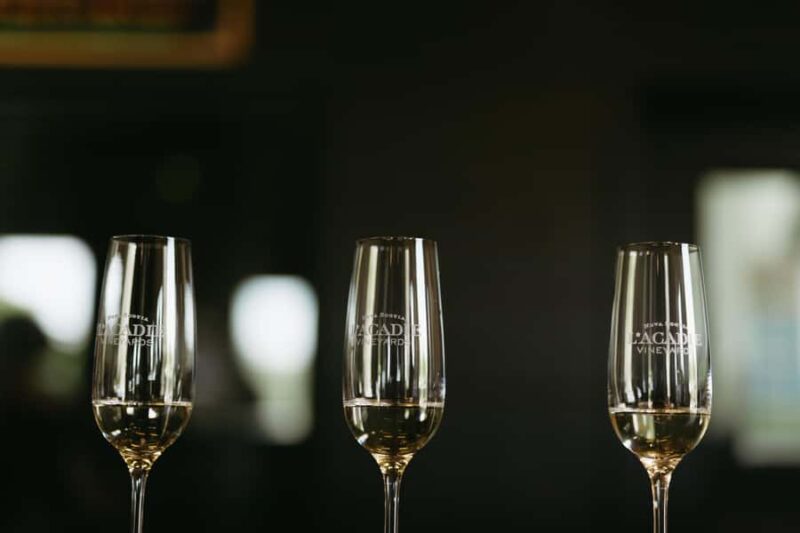 Nova Scotia: Private Wine Tasting & Lobster Lunch Tour - Final Thoughts on the Nova Scotia Private Wine & Lobster Tour