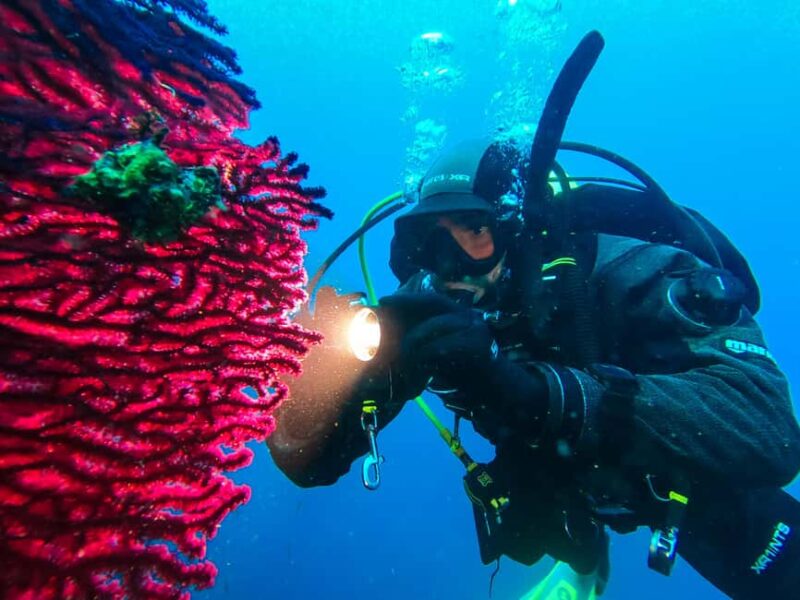 Novalja: Adriatic Sea Diving Experience - Why This Tour Stands Out