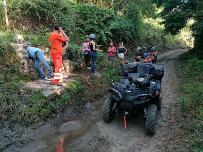 Novara di Sicilia: Quad excursions - Similar Tours and Options