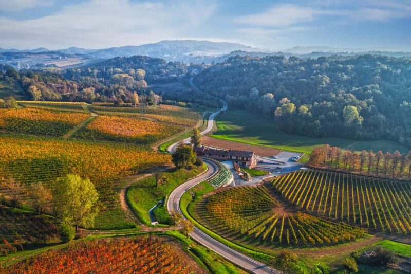 Novi Ligure: Guided tour of the winery with wine and chocolate tasting - Exploring the Novi Ligure Estate and Vineyard