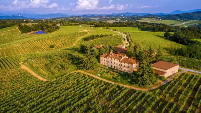 Novi Ligure: Vineyard Estate Tour & Lake Walk with Tasting - Explore a Piedmont Vineyard Estate with Stunning Views and Tasting Experiences