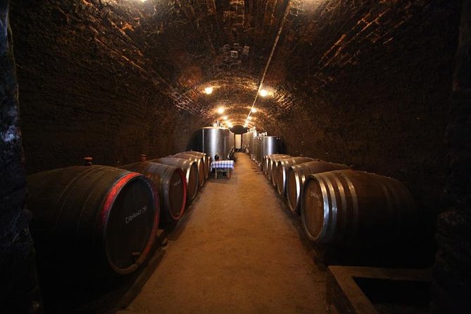 Novi Sad and Sremski Karlovci private tour with wine tasting - Key Points