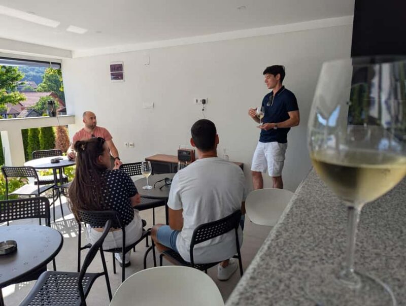 Novi Sad: Fruka Gora Wine Tasting with Local Bites - The Cozy Indoor and Terrace Settings
