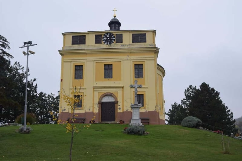 Novi Sad Private Walking Tour - Key Points