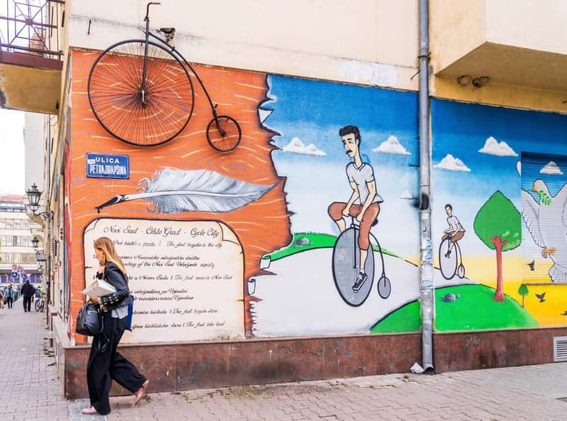 Novi Sad: Walking Tour city center and Petrovaradin Fortress - Practicalities and Group Sizes for a Comfortable Experience