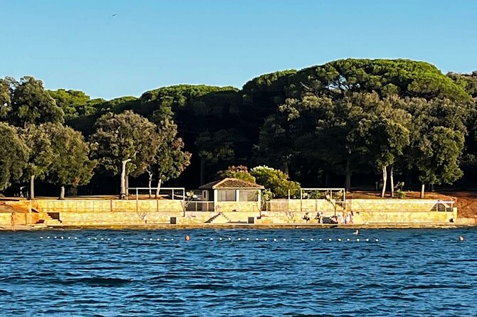 NP Brijuni Island Swimming & Dolphin Watching Sunset Cruise - The Reviews: Strengths and Limitations