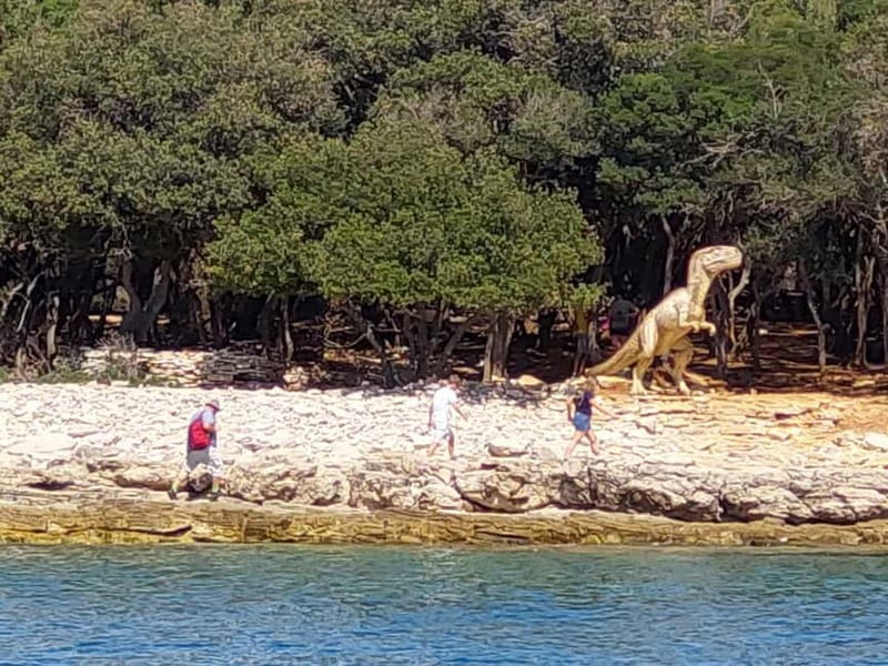 NP Brijuni Island Swimming & Dolphin Watching Sunset Cruise - The Dinner: Fresh Fish, Grilled Meat, or Vegetarian Options