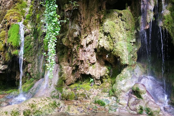 NP Krka waterfalls & Wine tasting - Private day tour from Split - Wine Tasting at Ante Sladic Vino Winery