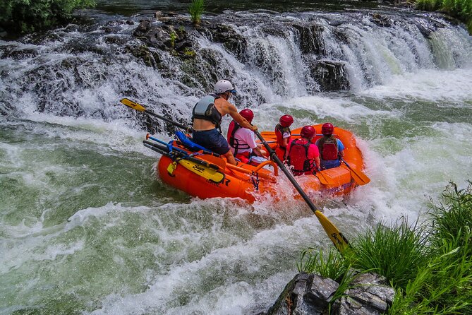 Nugget Falls class IV Half-Day Rafting on The Rogue River - The Setting and Scenery of the Rogue River