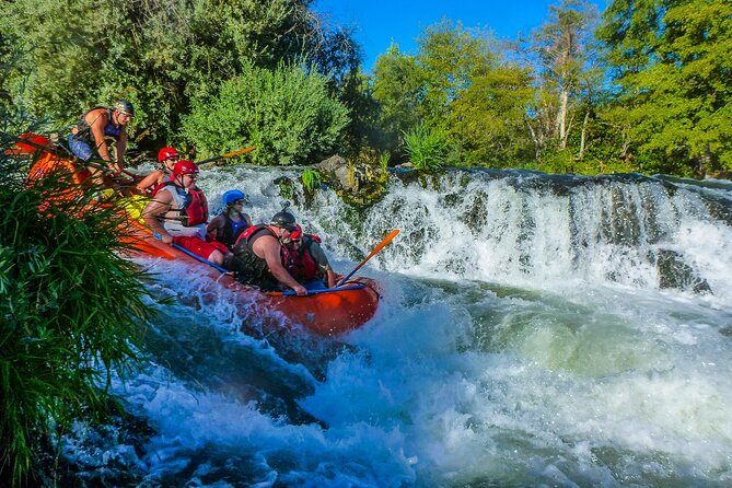 Nugget Falls class IV Half-Day Rafting on The Rogue River - Physical Requirements and Age Limitations