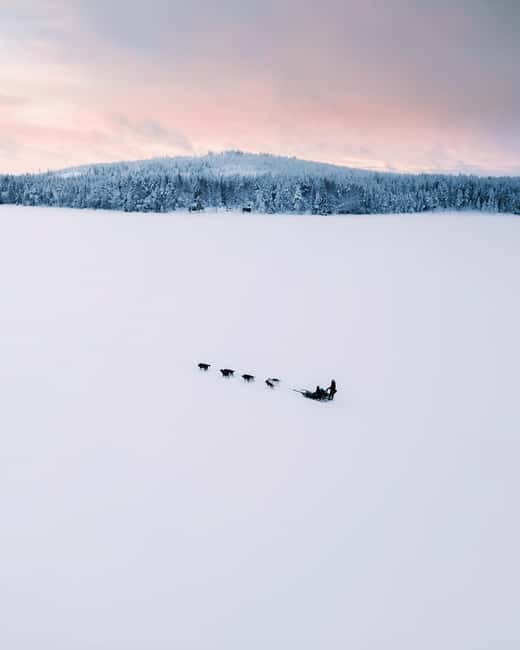 Nulkki Husky Adventure - Exploring the Husky Sled Ride in Rovaniemi