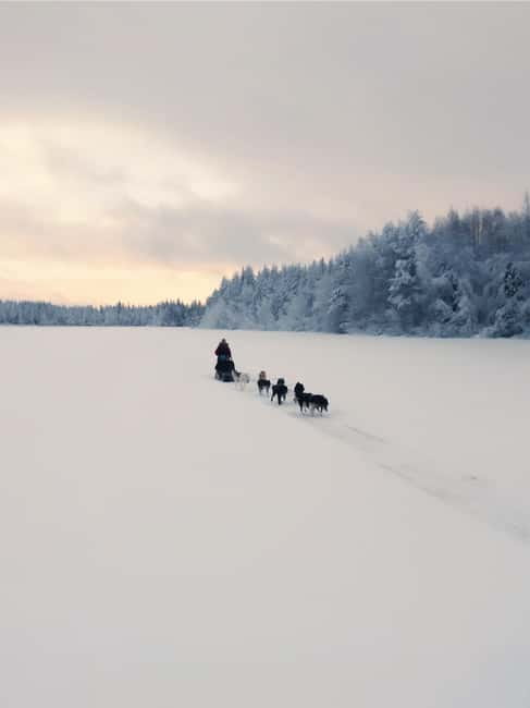 Nulkki Husky Adventure - Meeting the Huskies and Learning About their Lifestyle