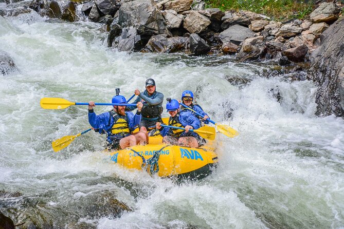 Numbers Half-Day Whitewater Rafting from Buena Vista - Why Choose This Whitewater Rafting Tour?