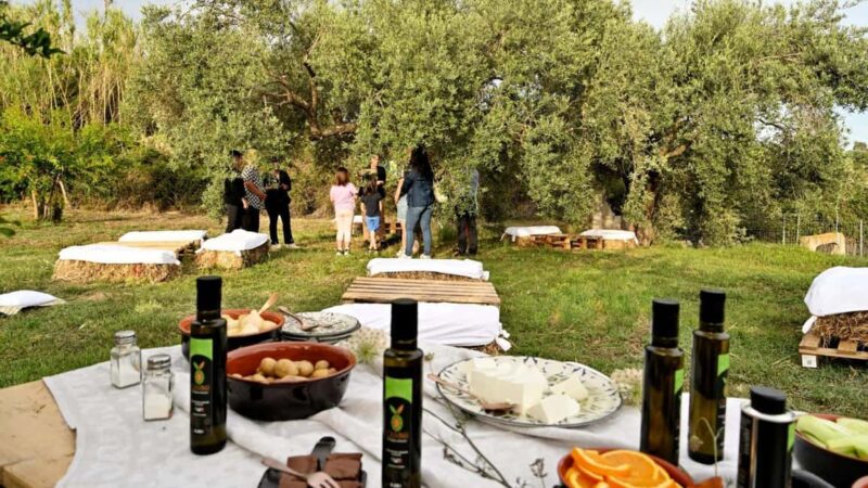 Nuoro: Visit an oil mill with oil tasting - The Outdoor Tasting Experience: Fresh, Flavored, Authentic