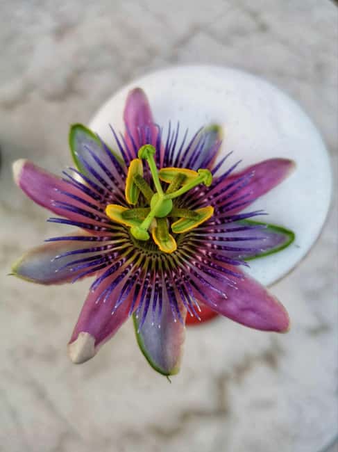 Nuremberg: Signature Gastronomy Tour with Premium Tastings - Who Will Appreciate This Tour Most?