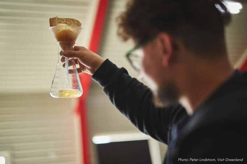 Nuuk Walking Tour with Greenlandic Beers and Arctic Burgers - Discover Killut and Greenland’s Distillery Scene