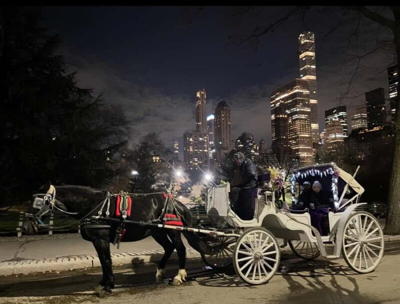 NYC: Amazing Central Park Horse and Carriage Ride with Guide - How the Tour Starts at a Prime Central Location in Manhattan