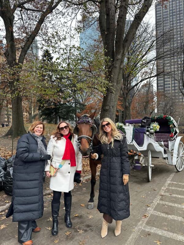 NYC: Amazing Central Park Horse and Carriage Ride with Guide - The Charm of Winter Rides and Scenic Beauty