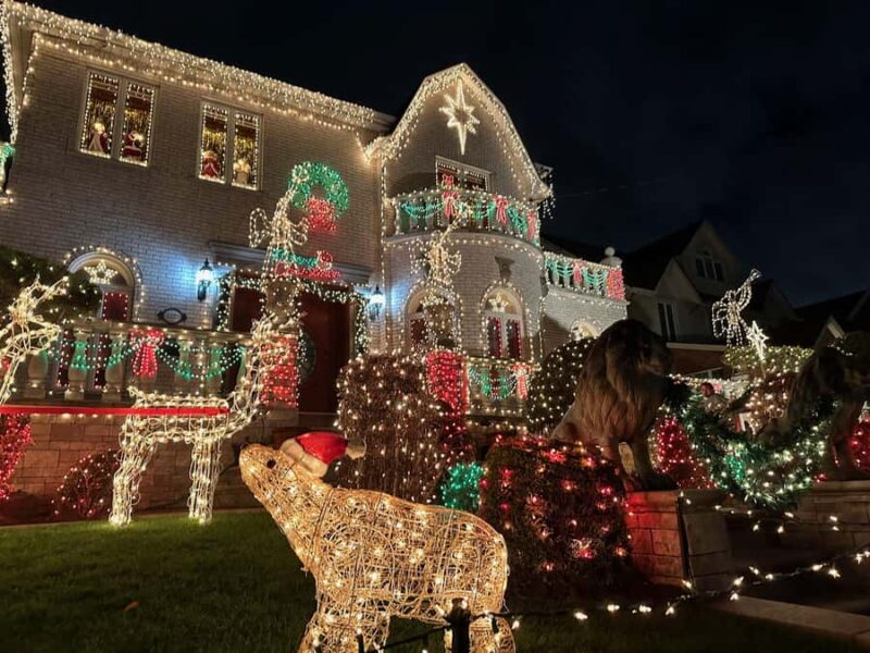 NYC at Night: 3.5 Hour Tour of Holiday Lights - Key Points