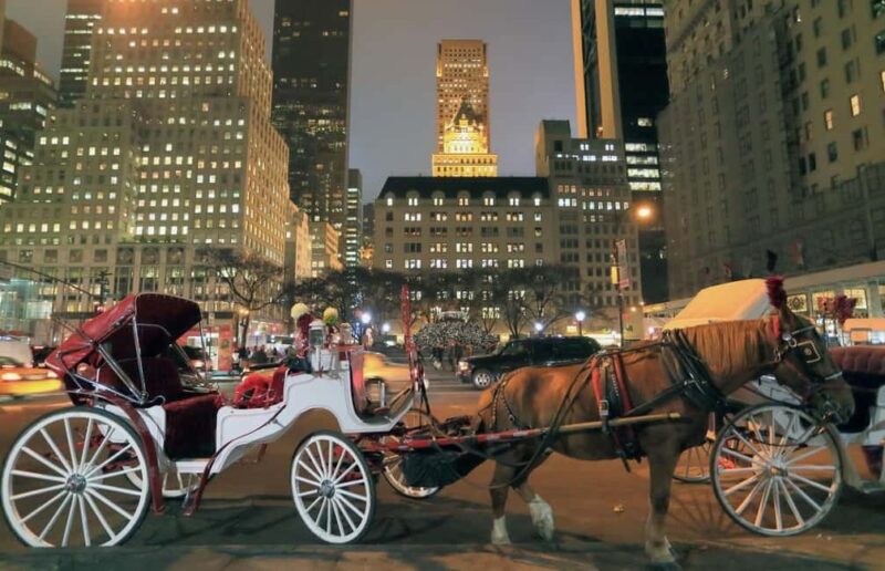 NYC : Central Park by Night: Horse-Drawn Carriage Ride - Key Points