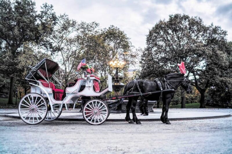 NYC: Central Park Christmas Lights Horse-Drawn Carriage Ride - The Perfect Holiday Gift or Romantic Outing