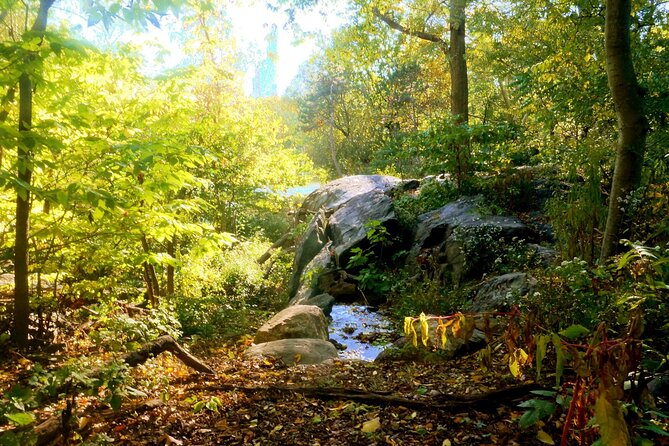 NYC Central Park Essential Guided Walking Tour - Key Points