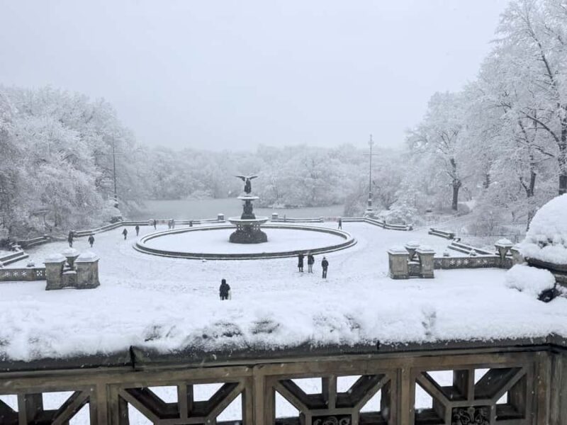 NYC: Central Park Guided Bike Tour with Movie Locations - Cost and Value for Money