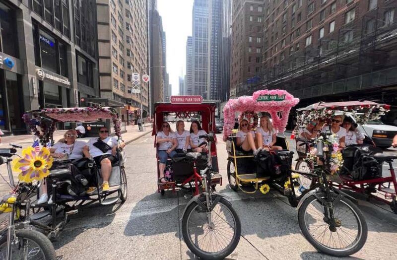 NYC: Central Park Highlights Pedicab Tour - Why Choose This Pedicab Tour of Central Park