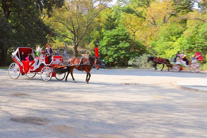 NYC Central Park Horse Carriage Ride (Up to 4 Adults) - Logistics and Comfort During the Ride