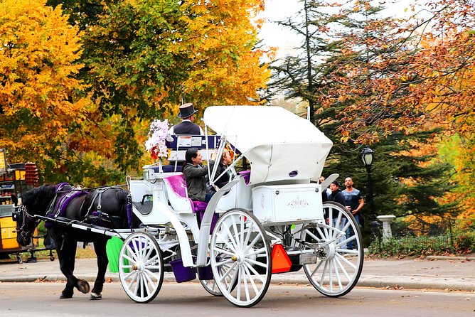 NYC Central Park Horse Carriage Ride (Up to 4 Adults) - Is this Tour Worth It?