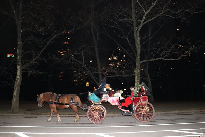 NYC Central Park Horse Carriage Ride (Up to 4 Adults) - Final Thoughts on the Central Park Horse Carriage Ride