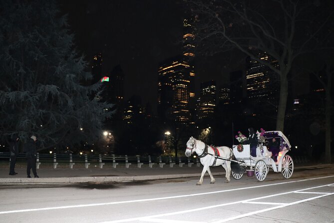 NYC Central Park Horse Carriage Ride (Up to 4 Adults) - Frequently Asked Questions