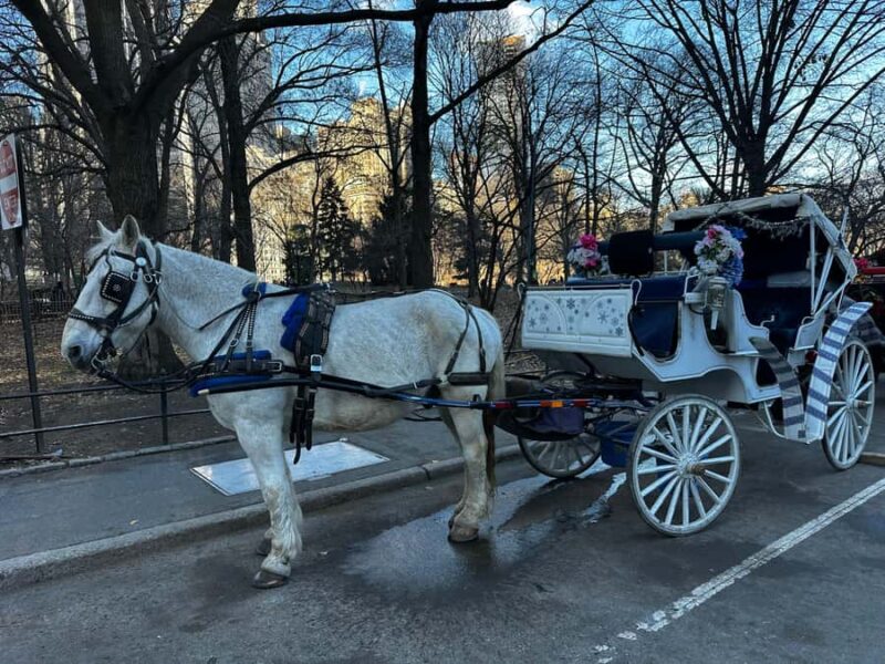 NYC Central Park Horse Drawn Carriage Ride - Discover the Charm of Central Park on a Horse-Drawn Carriage Ride