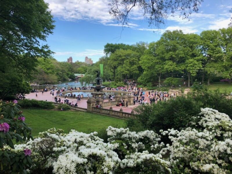 NYC: Central Park Horse-Drawn Carriage Ride (up to 4 Adults) - The Experience of a Plush Carriage Ride