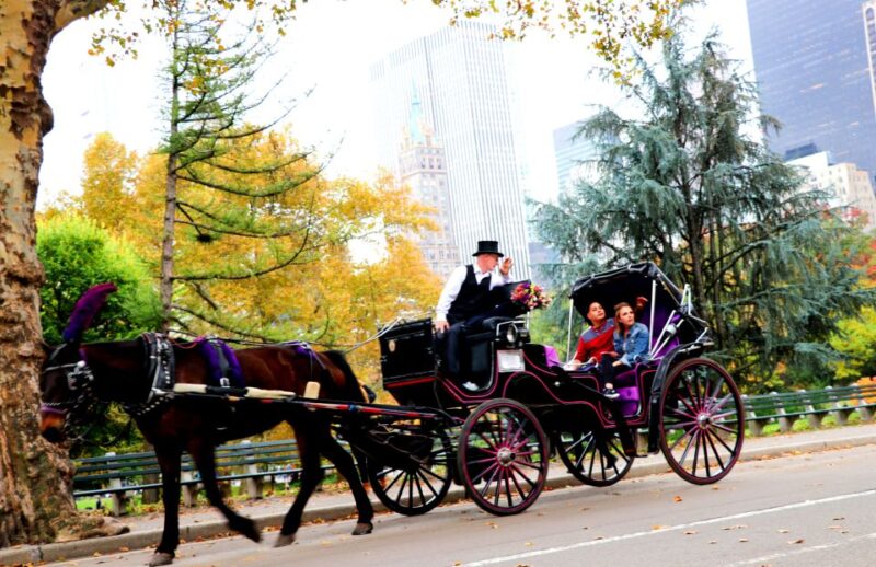 NYC: Central Park Horse-Drawn Carriage Ride (up to 4 Adults) - The Guide’s Role and Commentary