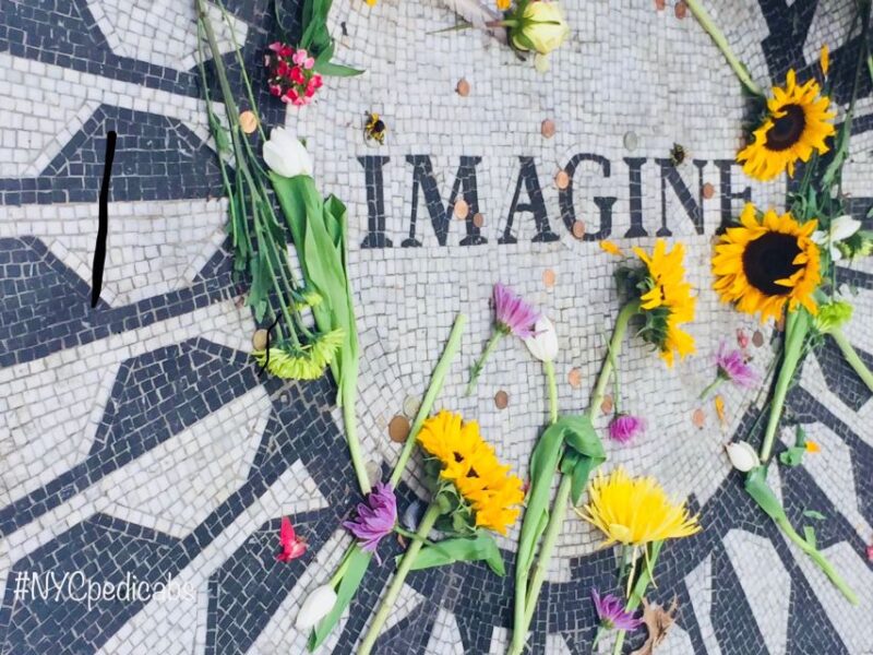 NYC: Central Park Pedicab Highlights Tour - Explore Central Park in Comfort with a Private Pedicab Tour