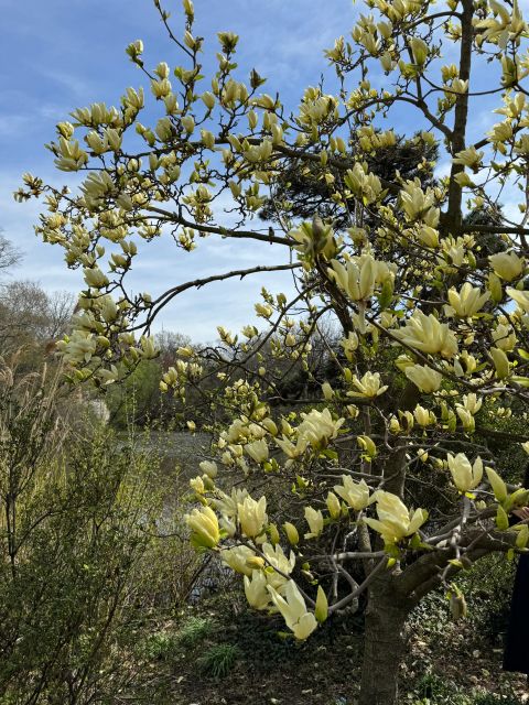 NYC Central Park Pedicab Tours - Logistics: Meeting Point, Group Size, and Flexibility