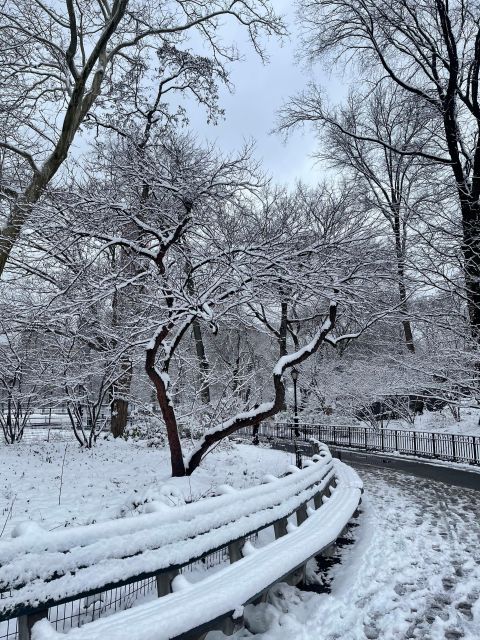 NYC Central Park Pedicab Tours - The Stops and What to Expect