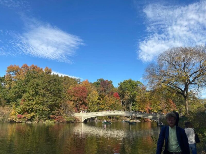 NYC Central Park Pedicab Tours - Comparing to Other Attractions and Tours