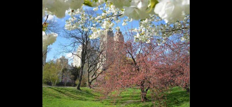 NYC: Central Park Rickshaw Tour with Boat Rental - Starting at the Southeast Corner of Central Park