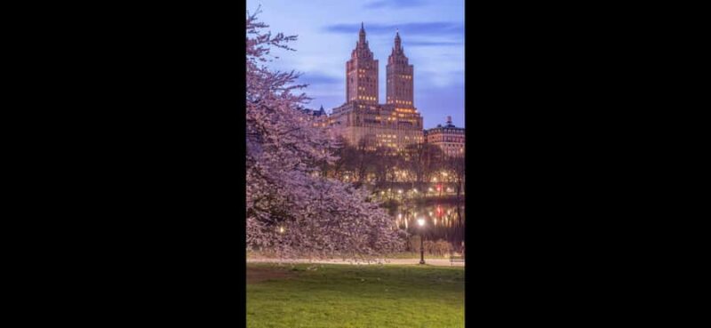 NYC: Central Park Rickshaw Tour with Boat Rental - The Pedicab Ride Through Central Park’s Highlights