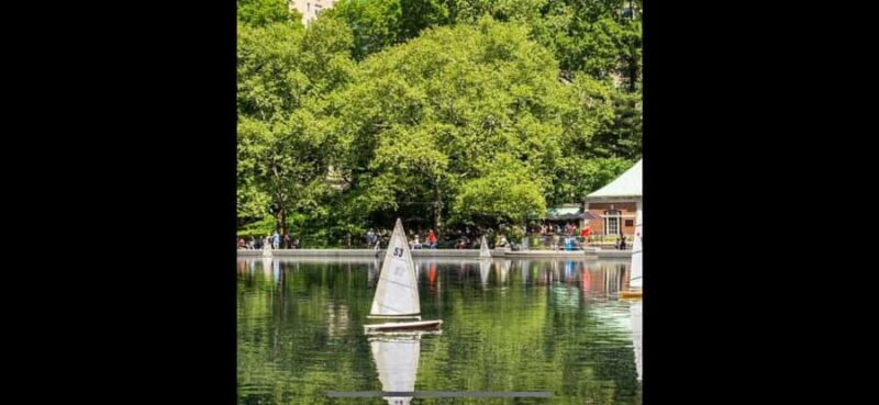 NYC: Central Park Rickshaw Tour with Boat Rental - Practical Details and Tips for Enjoying the Tour