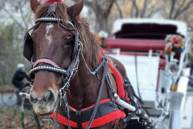 NYC Central Park & Rockefeller Center Private Horse Carriage Tour - What’s Included and What to Consider