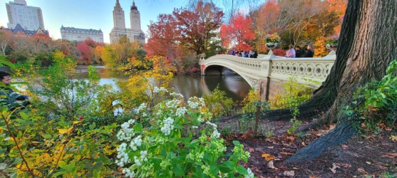 NYC: Central Park Secrets and Highlights Walking Tour - Meeting Point in Front of The Shops At Columbus Circle